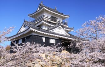 三河と尾張の違いを理解して成婚への道