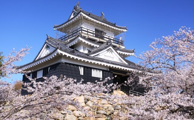 三河と尾張の違いを理解して成婚への道